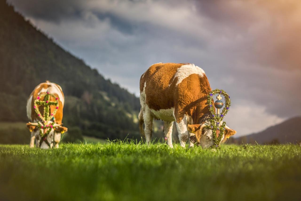 Der Anderlbauer Am See Schliersee Esterno foto